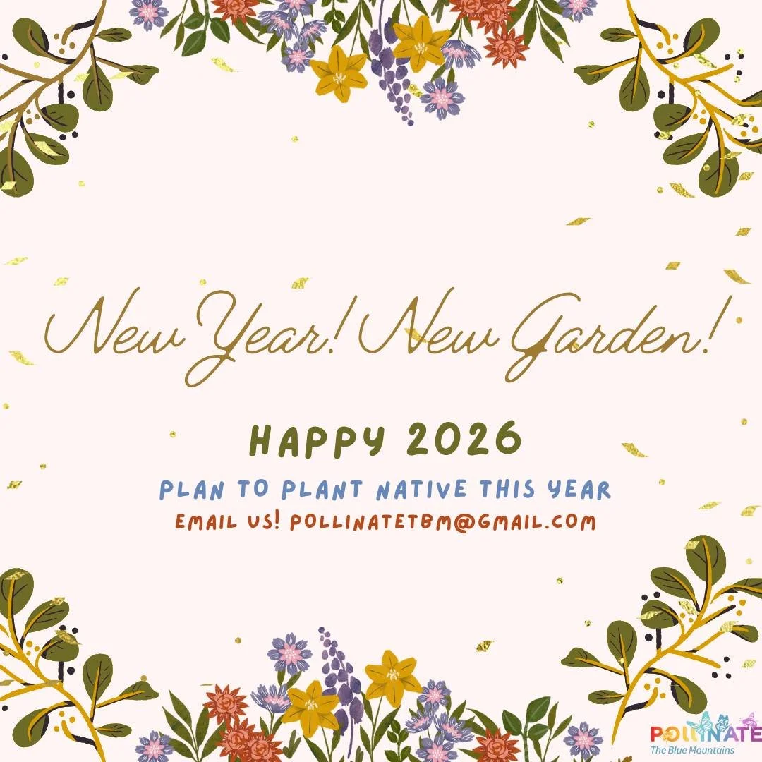 🌱✨ New year, new garden! Let&rsquo;s make 2026 bloom with native plants and pollinator love. 🐝💛 #NativePlants #PollinatorGarden #Happy2026
