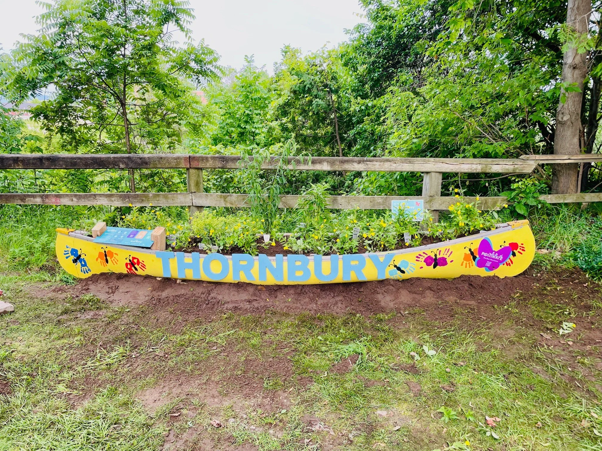 The native plants of the Blue Mountains are waking up 🌱
We&rsquo;re excited to see what this growing season brings for our local pollinators.
Visit our pollinator canoes and discover what&rsquo;s beginning to bloom as the season unfolds 🐝🦋

Want t