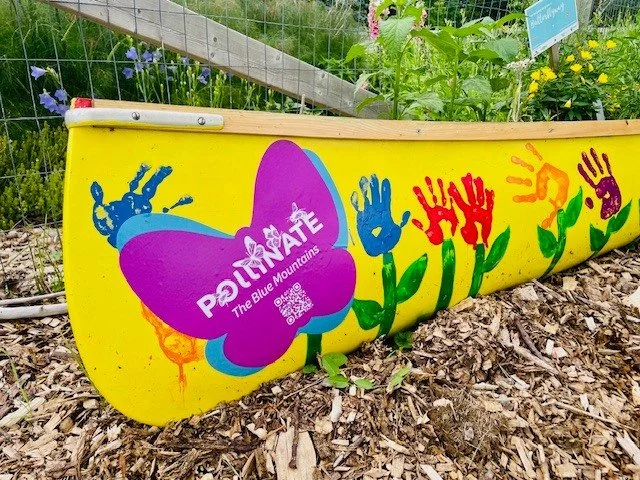 Are you passionate about plants and insects? 🌿🐝
Want to be part of a community movement supporting our local ecosystem?
Pollinate the Blue Mountains would love to have you on our volunteer team!
Join our enthusiastic crew today:
📩 pollinatetbm@gma