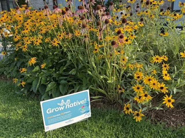 Joyner garden 1.jpg
