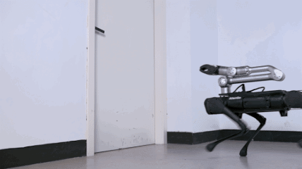Z1 Arm-picture1.gif