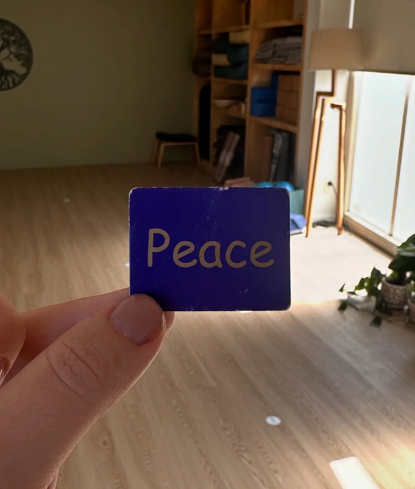 Lately life&rsquo;s been throwing so many endings my way - relationships, attachments, agreements, identities, spaces, physical items, patterns. Death rearing its head in different masks over and over again.

And along with the feelings of fear, loss