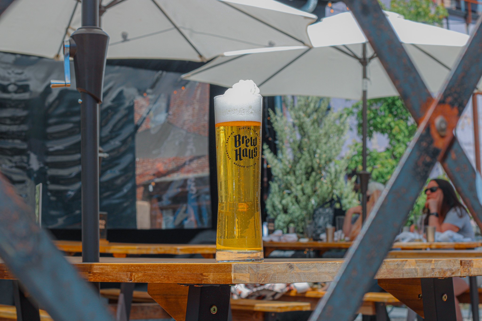 Spirit Guide Czech Pilsner