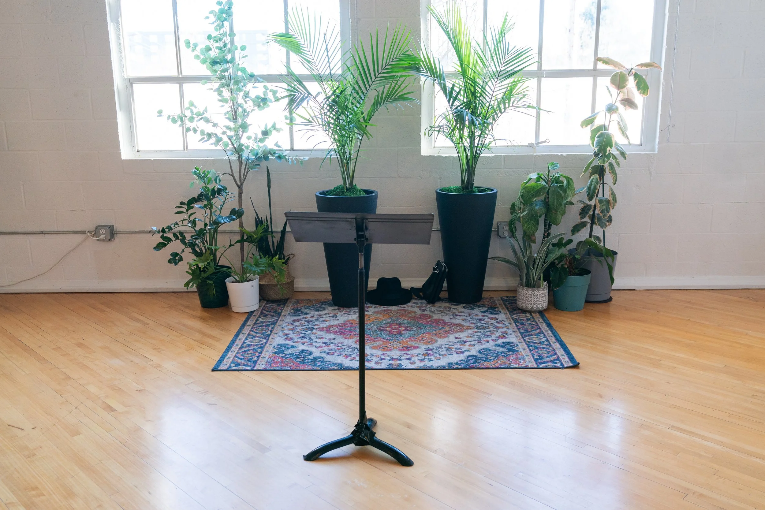 Lots of greenery, foliage, plants, lush vegitation available