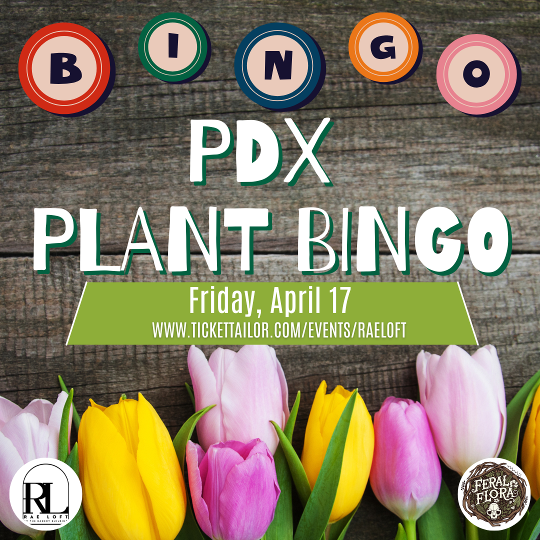 Plant Bingo, Bingo Night, Portland Bingo, Plants, House Plans, Queer, Feral Flora, Rae Loft