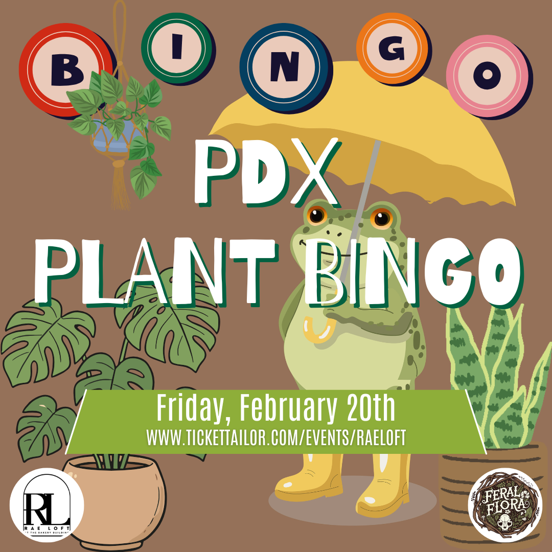 Bingo Plants Events Weddings Parties Elope Date Night Event Celebration Wedding Couple Bride Groom Venue Space Minister Officiant Florist