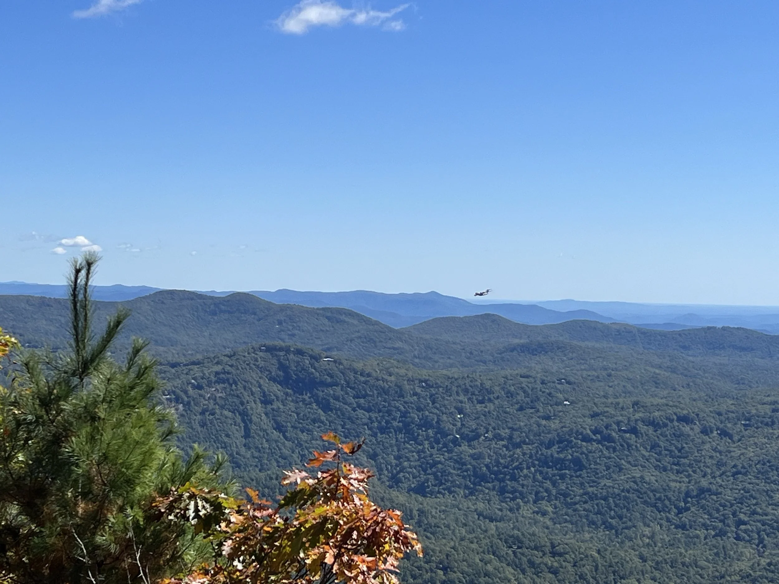 Four Seasons, Endless Lifestyle: Why are New Residents Flocking to the Upstate of South Carolina Blue Ridge Foothills