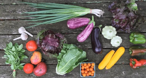 2024 CSAs to Choose From!