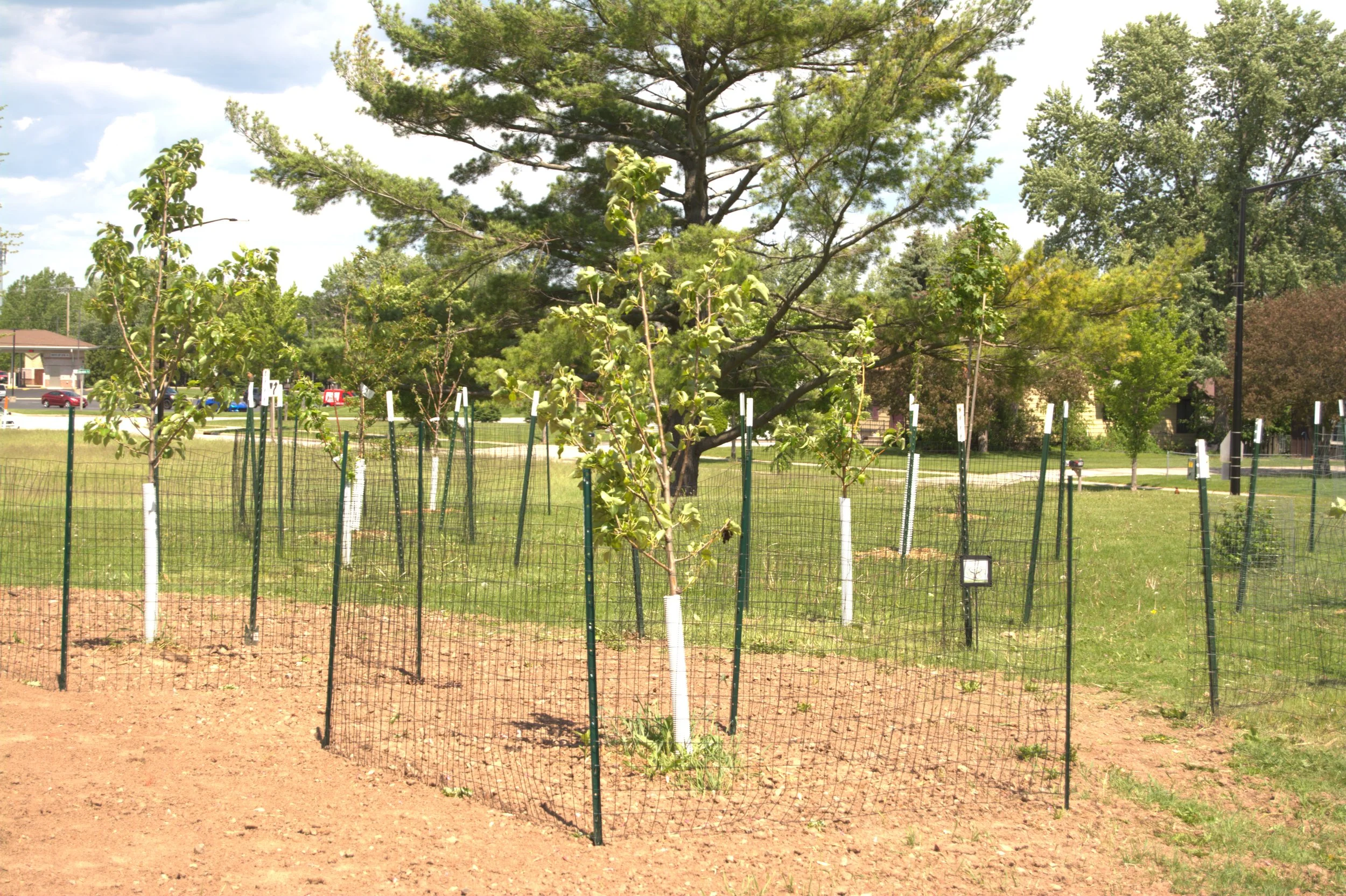 Community Orchards — New Leaf Foods