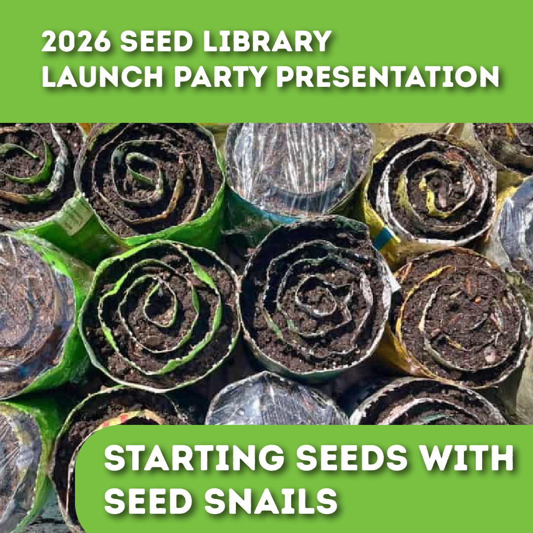 Seed Starting with Seed Snails