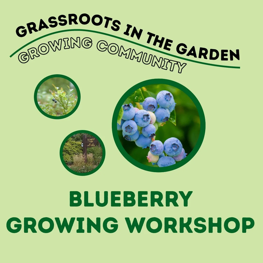 Grassroots in the Garden: Blueberry Growing Workshop