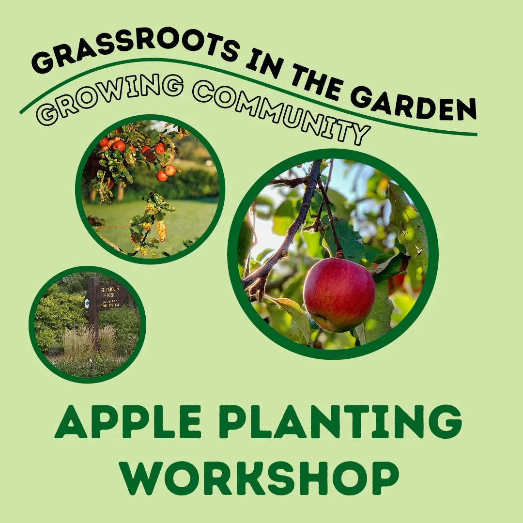 Grassroots in the Garden: Apple Planting Workshop