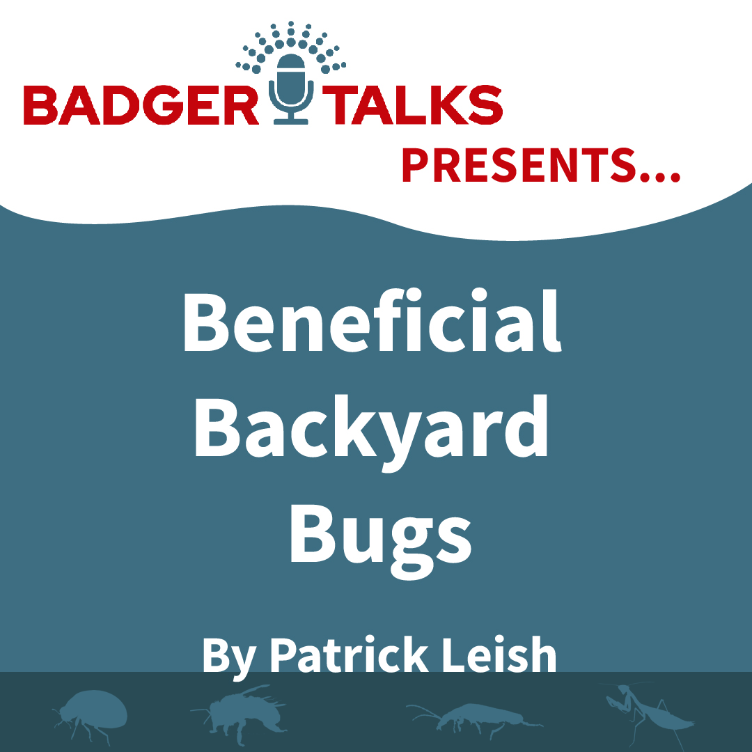 Badger Talk: Beneficial Backyard Bugs