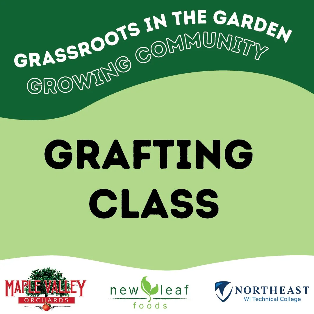 Grassroots in the Garden: Grafting Class