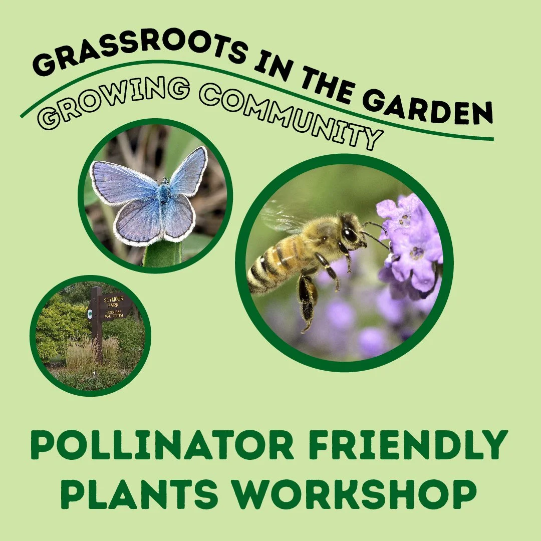 Grassroots in the Garden: Pollinator Friendly Plants