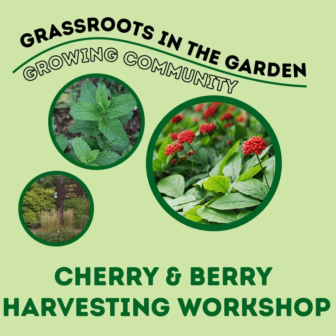 Grassroots in the Garden: Medicinal Plant Workshop