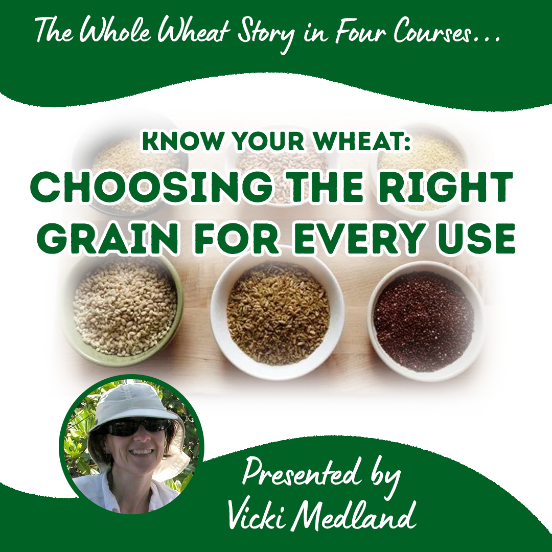 Know Your Wheat: Choosing the Right Grain for Every Use