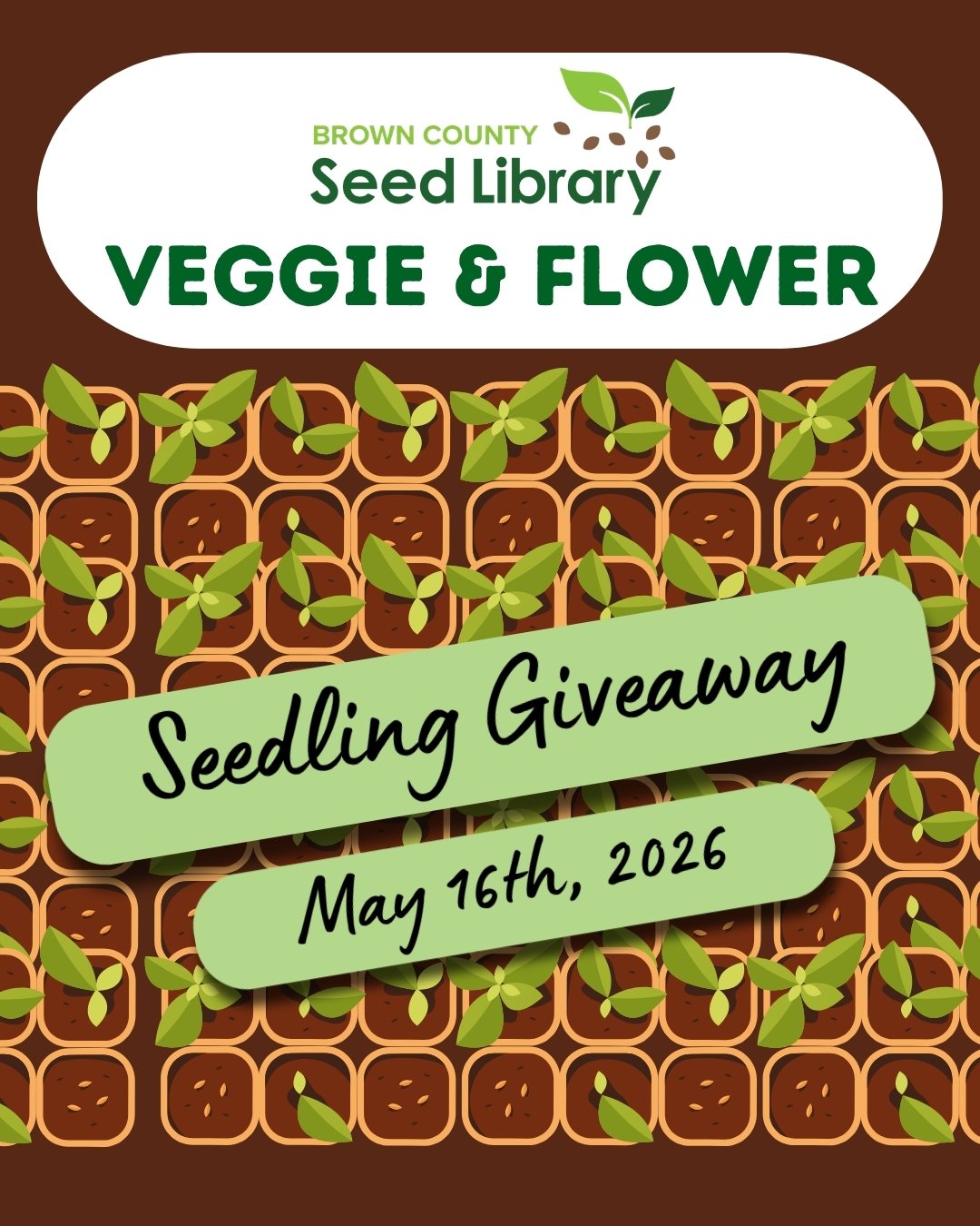 Seedling Giveaway