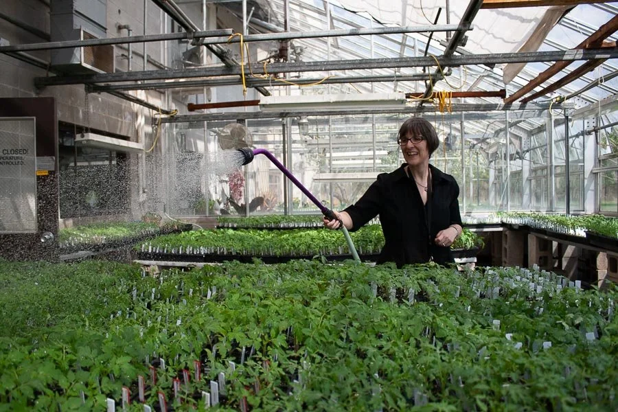 UWGB Heirloom Plant Sale