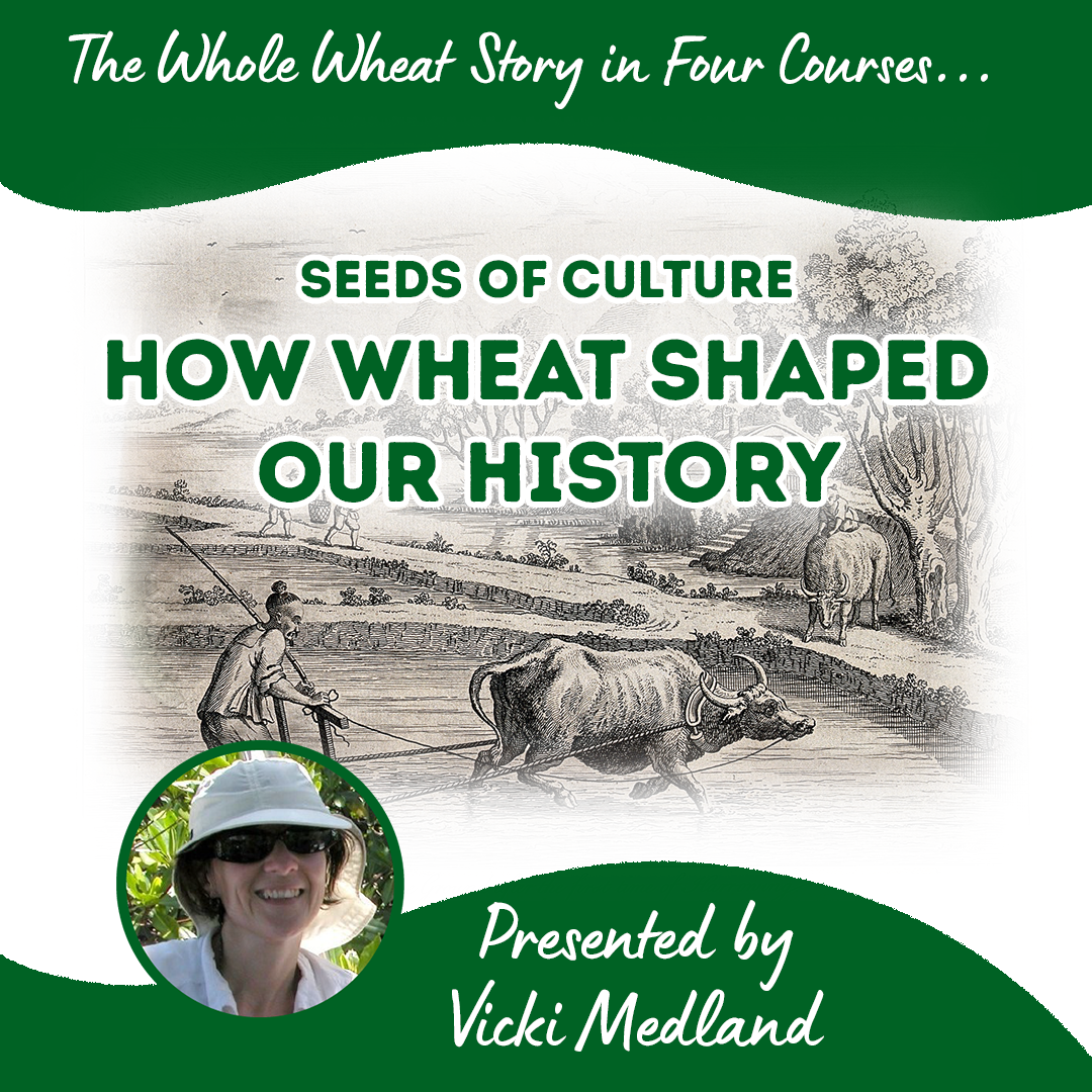 Seeds of Culture: How Wheat Shaped our History