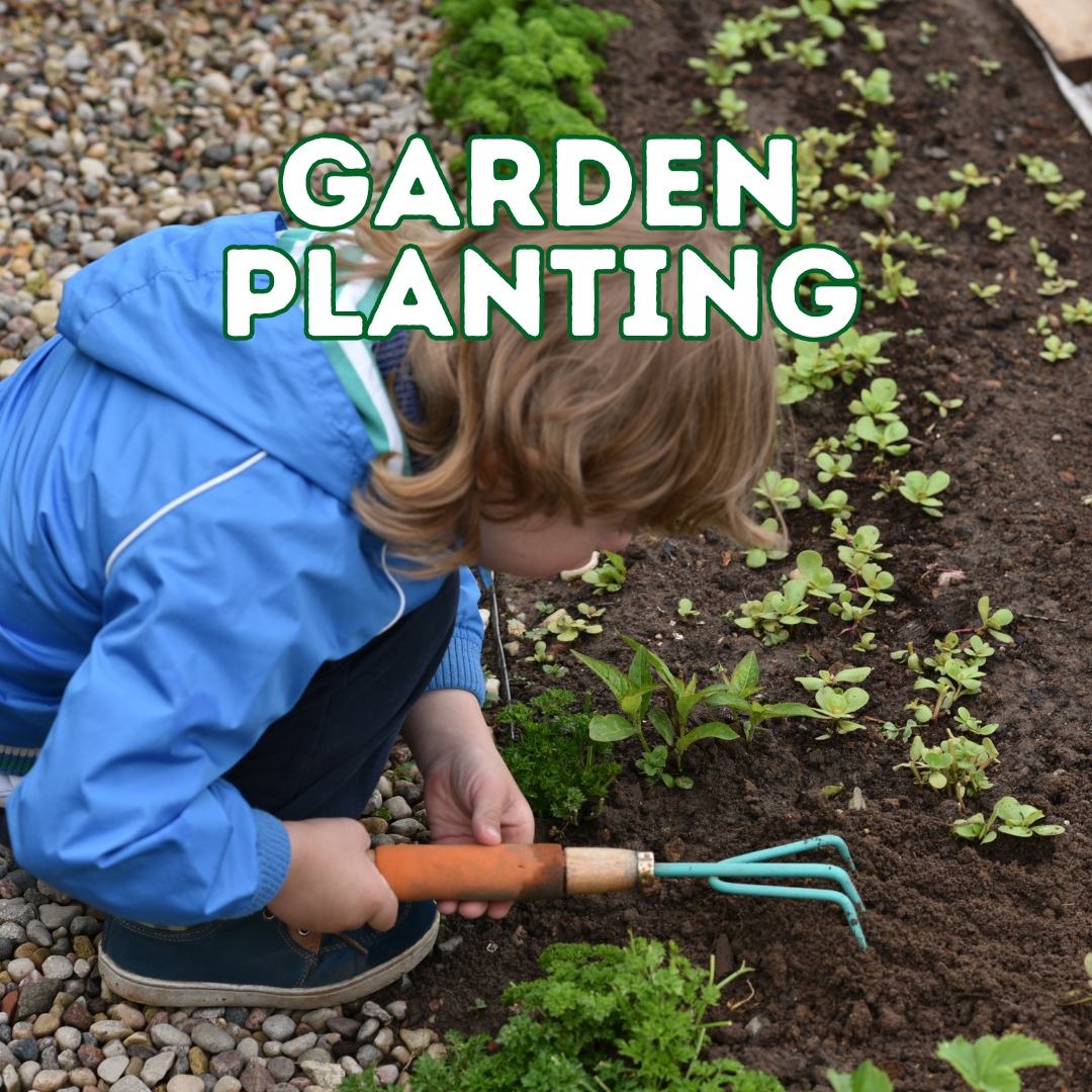 Garden Bed Planting for Future Gardeners of Green Bay