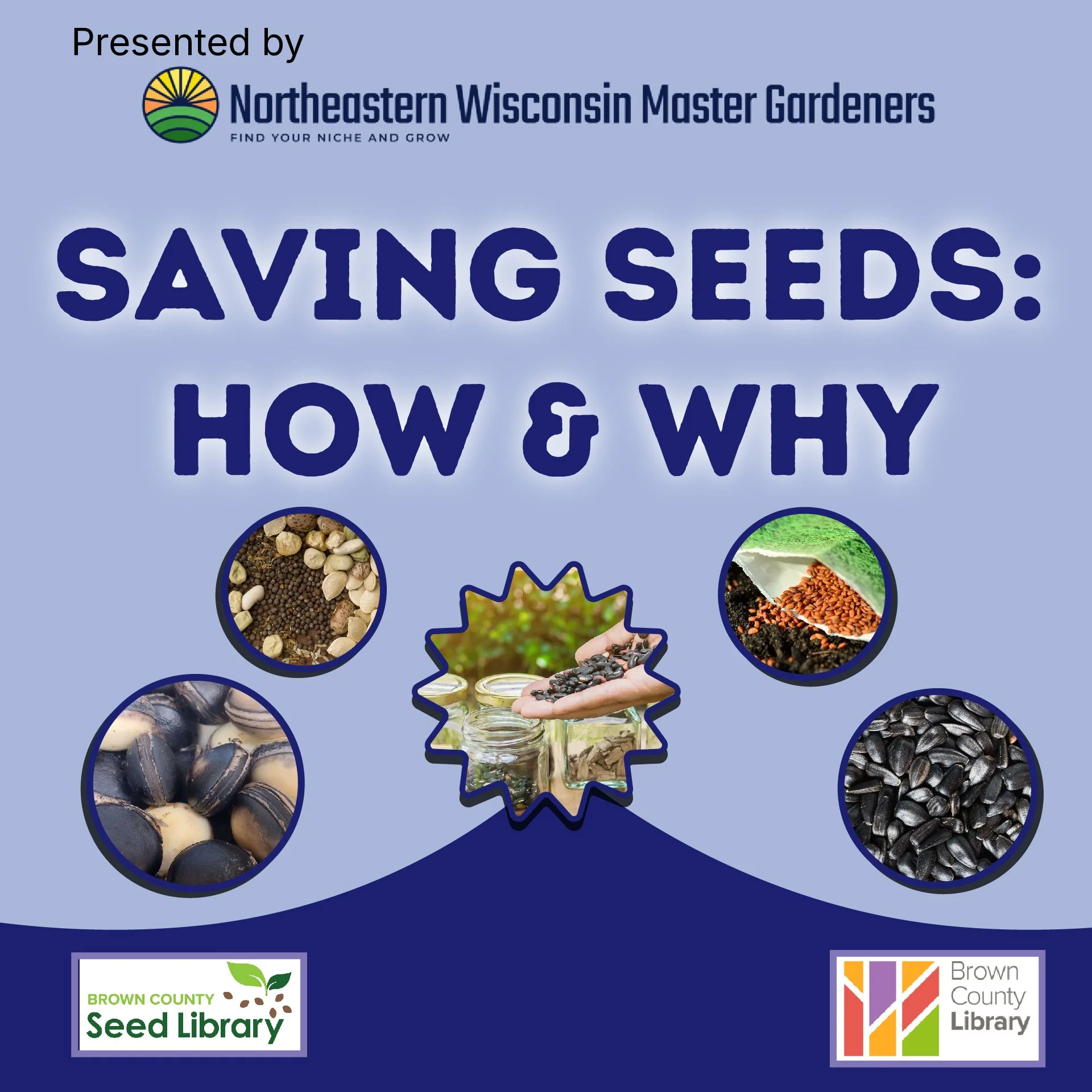Saving Seeds: How and Why