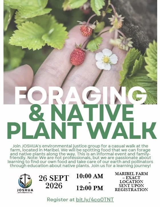 Foraging &amp; Native Plant Walk