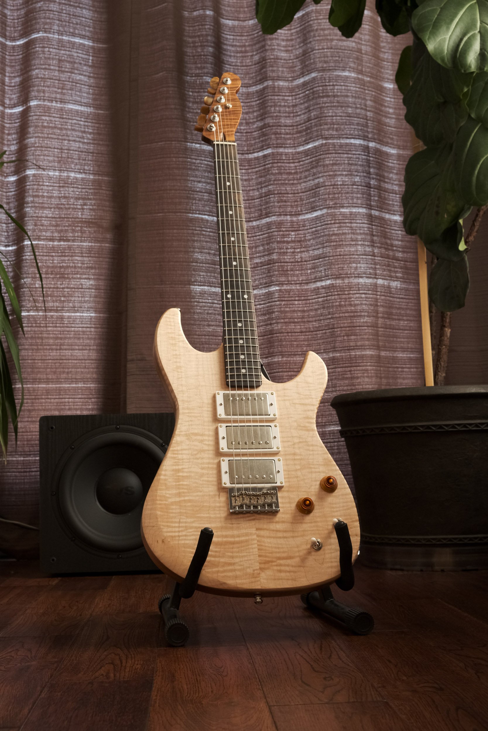 The Beholder. Curly Maple.