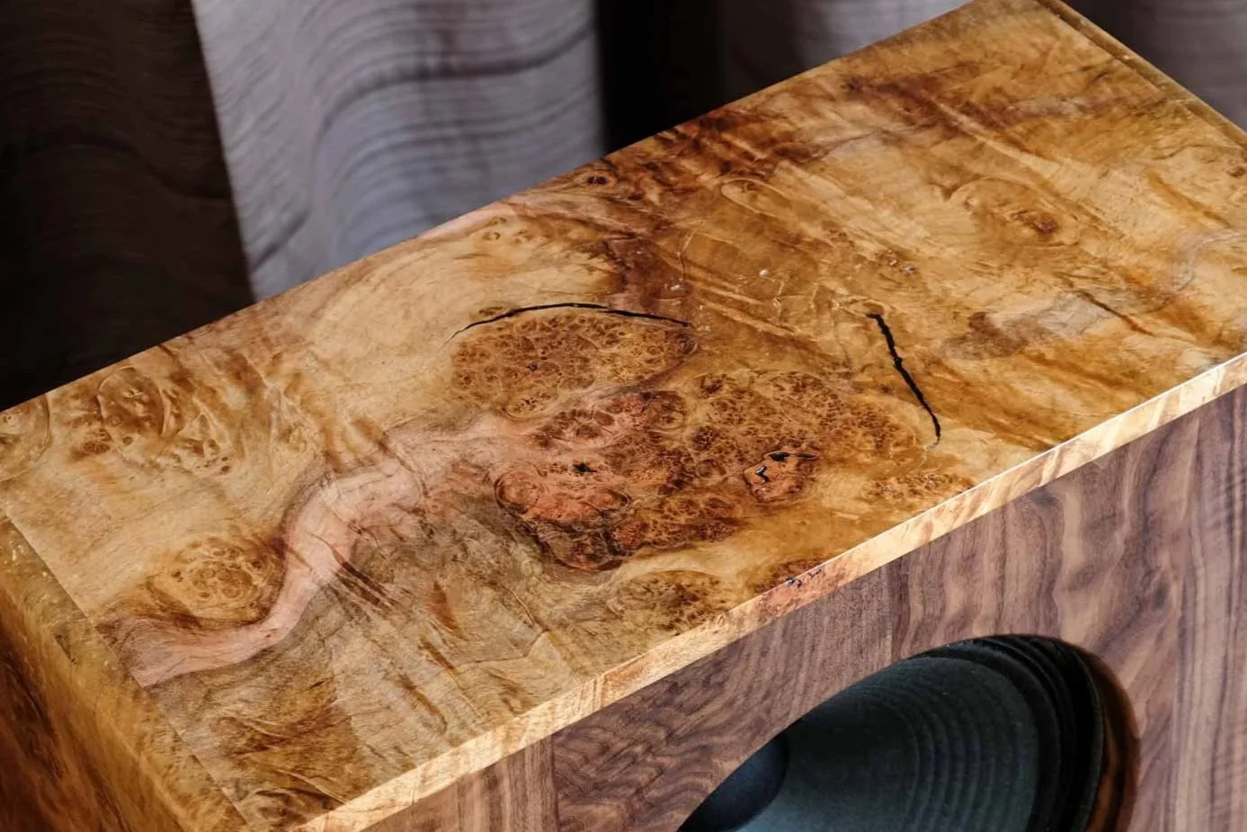 Burl Maple Speaker