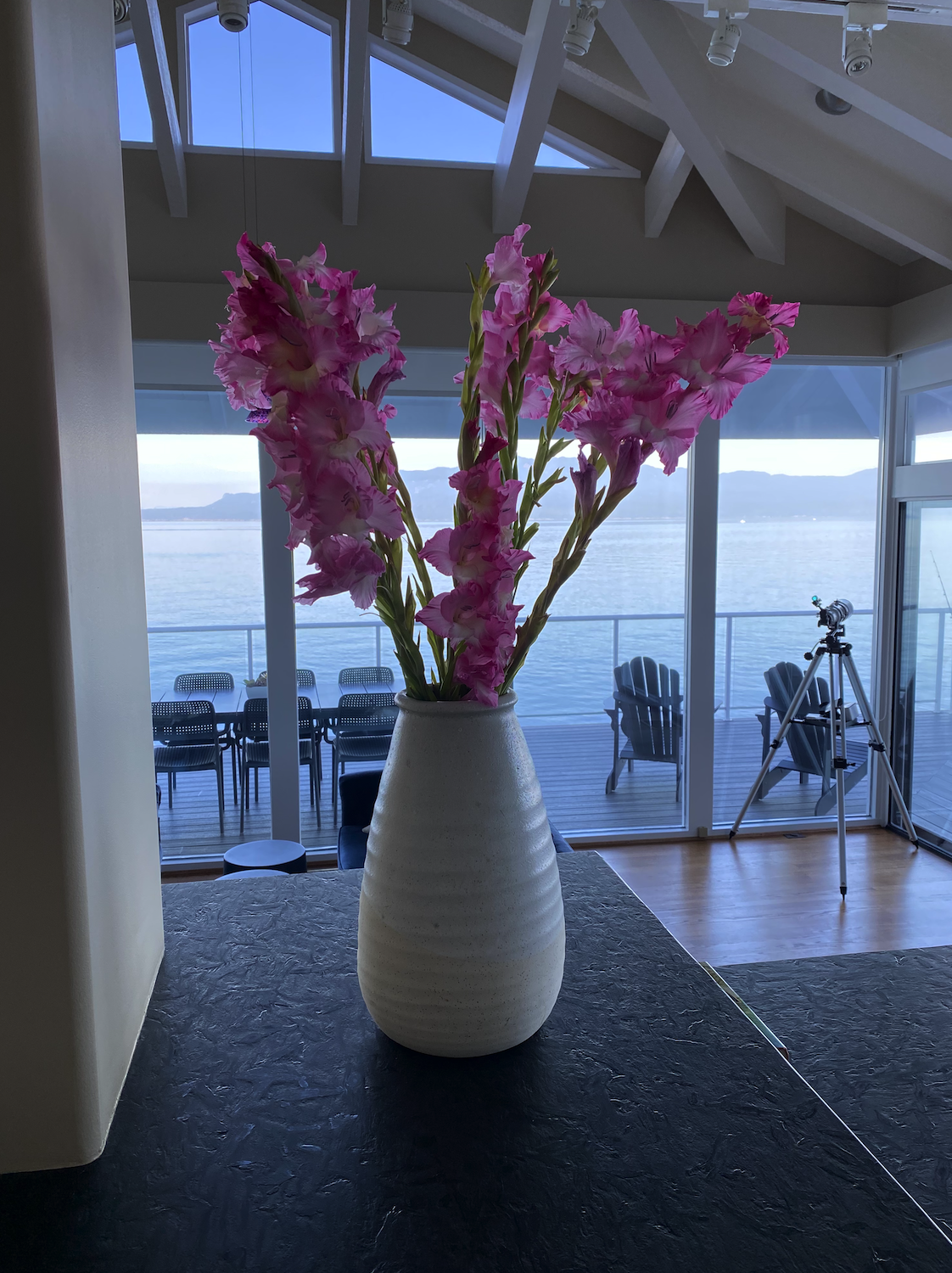 Pink gladiolus flowers in a white ceramic vase on a dark countertop in a room with large windows and ocean view.