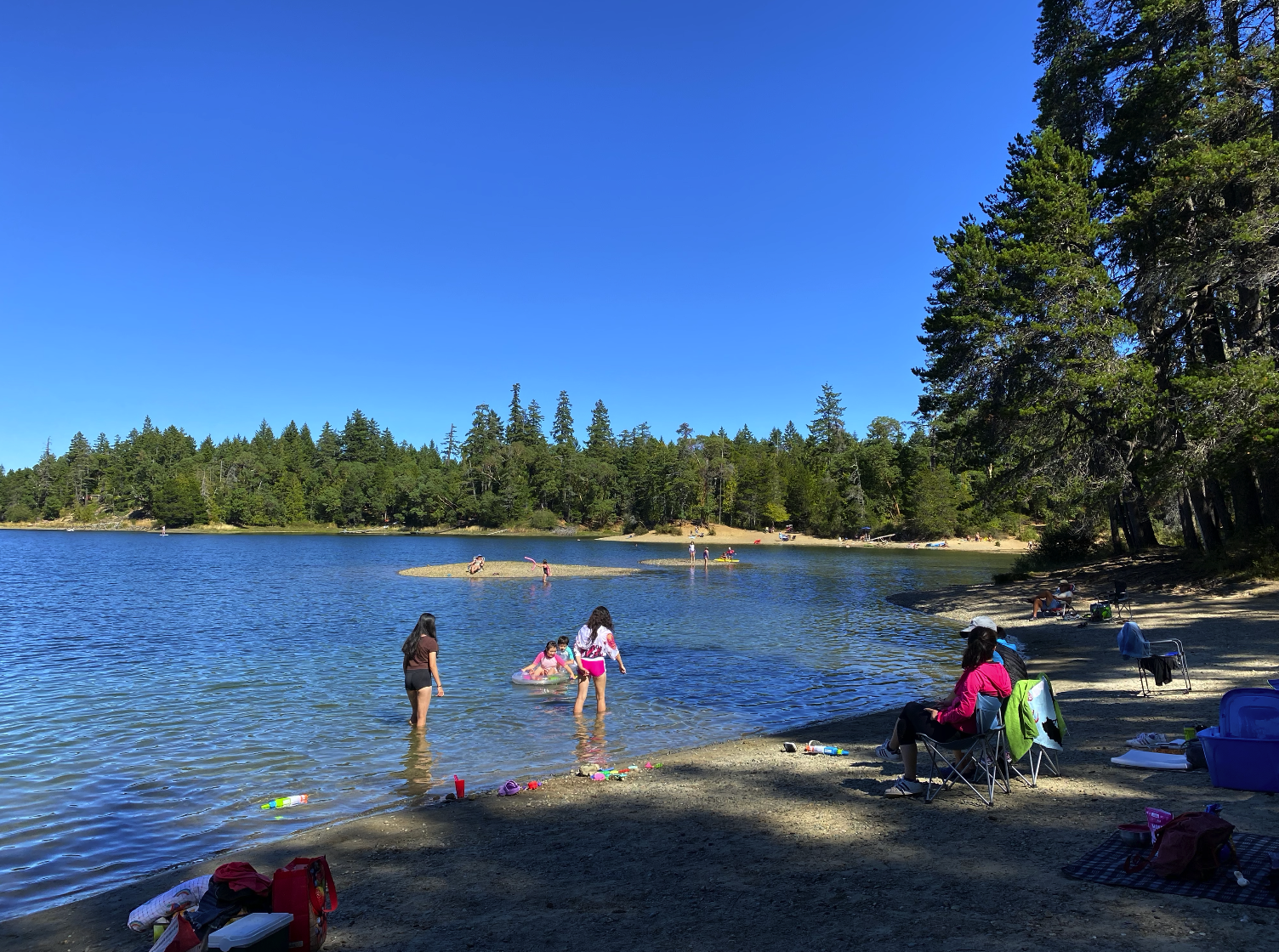 People enjoying a day at a lakeside beach with trees in the background, some swimming, boating, and relaxing on the shore, under a clear blue sky.