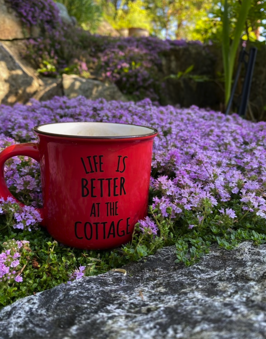 Red mug with the words 'Life is better at the cottage' written on it, surrounded by purple flowers and greenery in a garden setting.