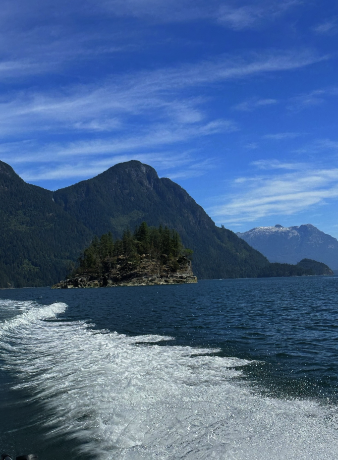 A scenic view of a blue lake with a small tree-covered island, surrounded by green mountains under a partly cloudy sky.