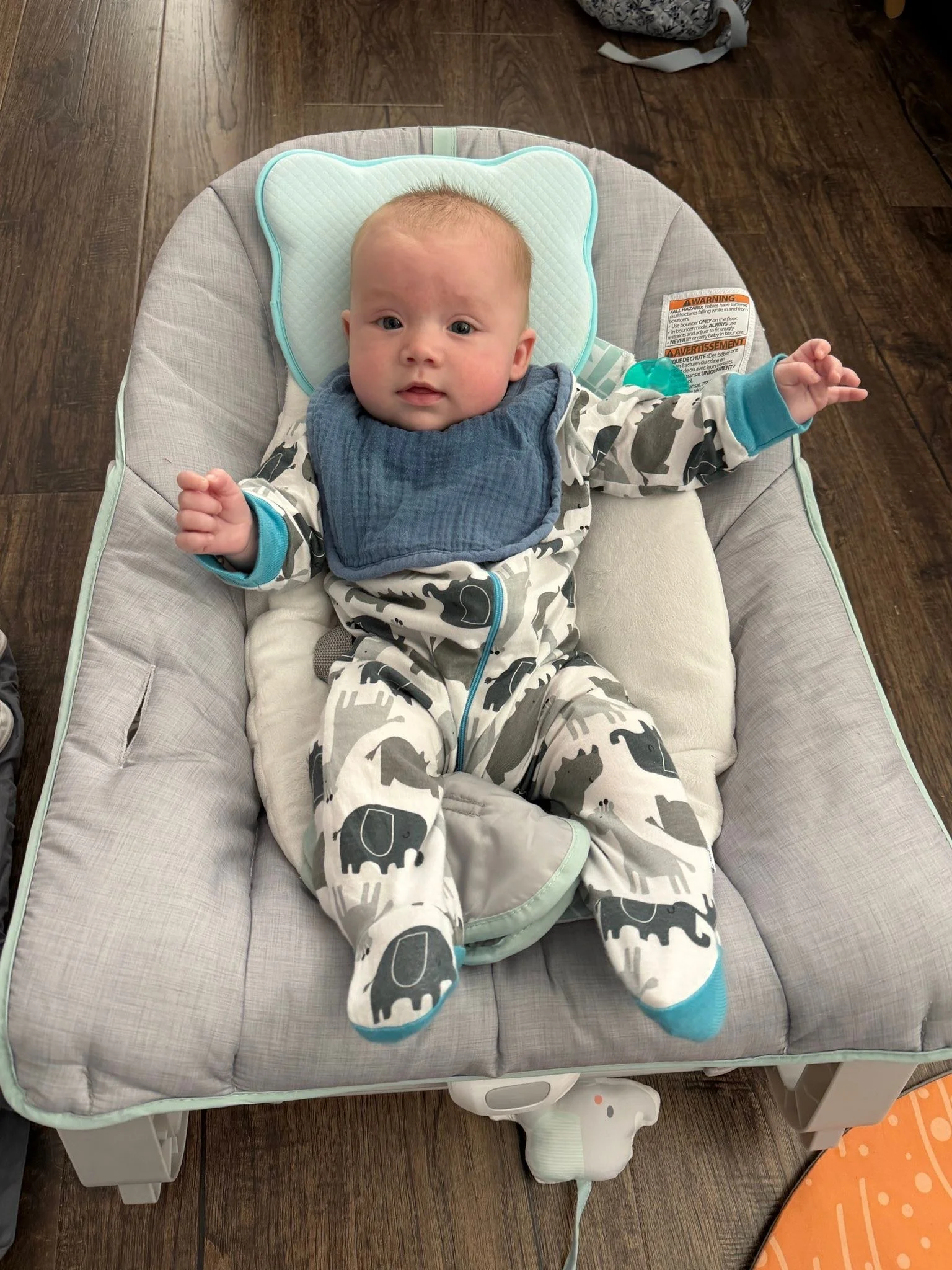 I run my business while babysitting my 3mo old grandson and 2 dogs (that are still trying to figure out who this little thing is). And one of those dogs is a 100lb PUPPY 🤪 Talk about walking the talk when it comes to nervous system regulation ✨

#me