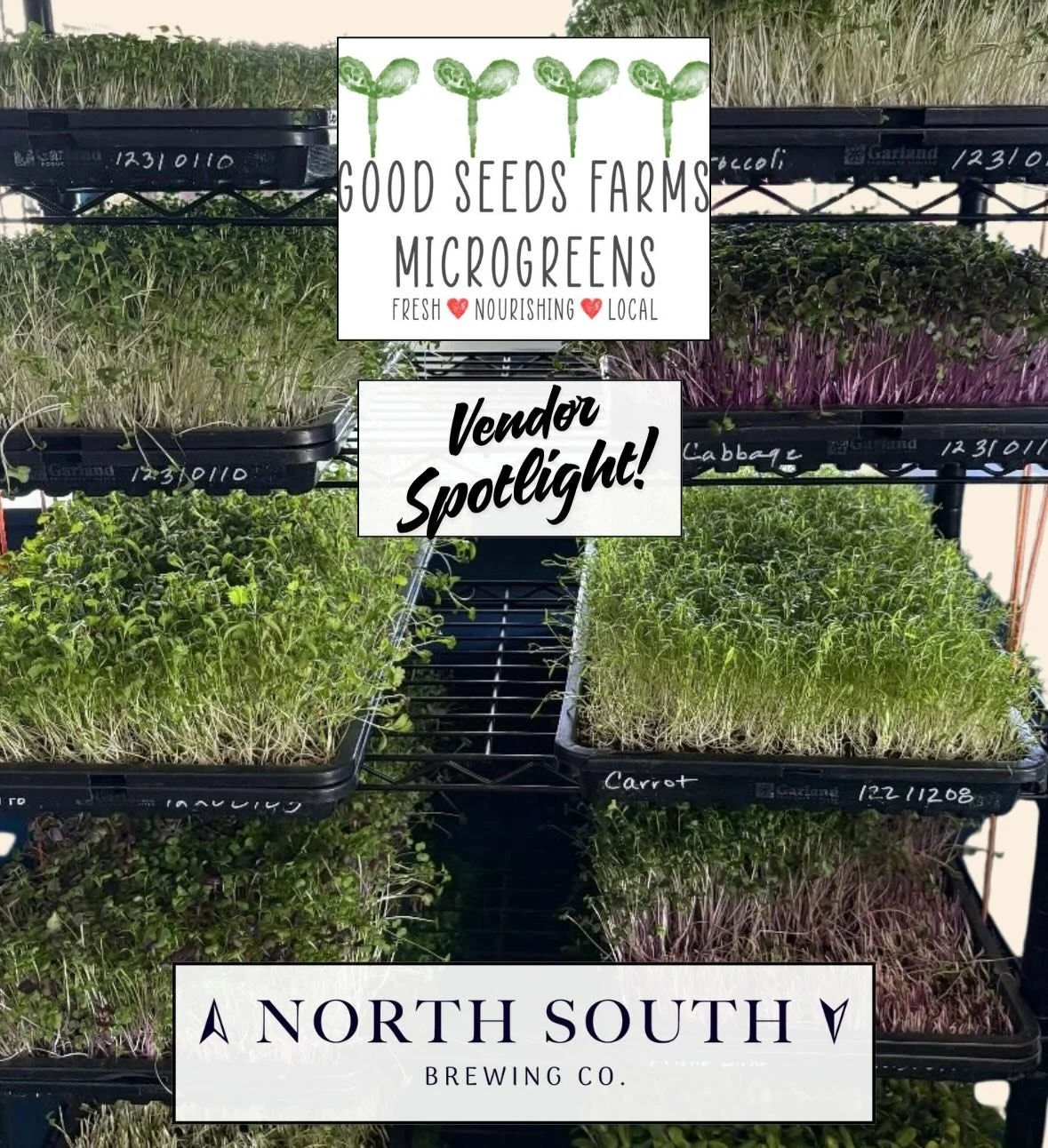 Say hello to @good_seeds_farms a locally rooted micro-farm here in the Grays Creek area and a proud part of our North South Brewery Farmers Market community!

Established in 2022, Good Seeds Farms specializes in vertical farming and grows some of the