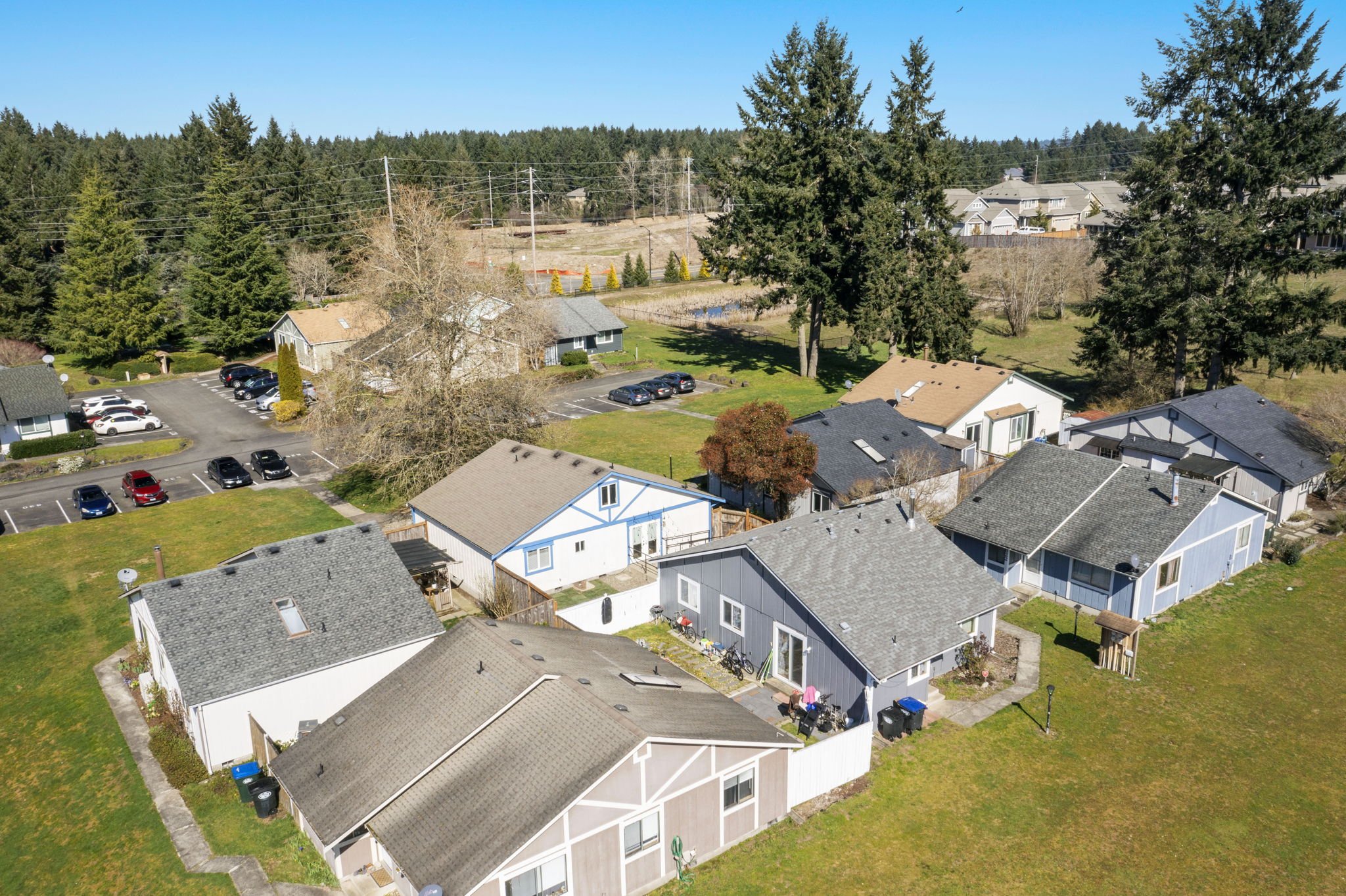 2-web-or-mls-DJI_0982.jpg