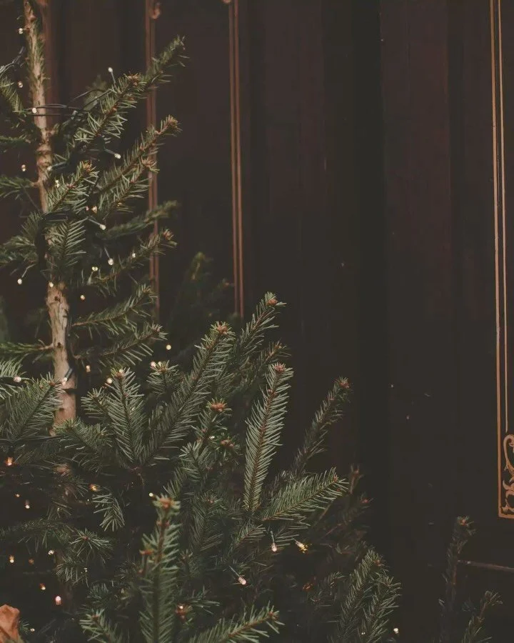 Sleigh the Day is here 🎄✨

Your festive season just got a whole lot easier - and stronger. 

This brand new program includes 12 mixed-ability reformer classes, all 10 minutes &amp; under, so you can stay consistent no matter how busy December gets. 