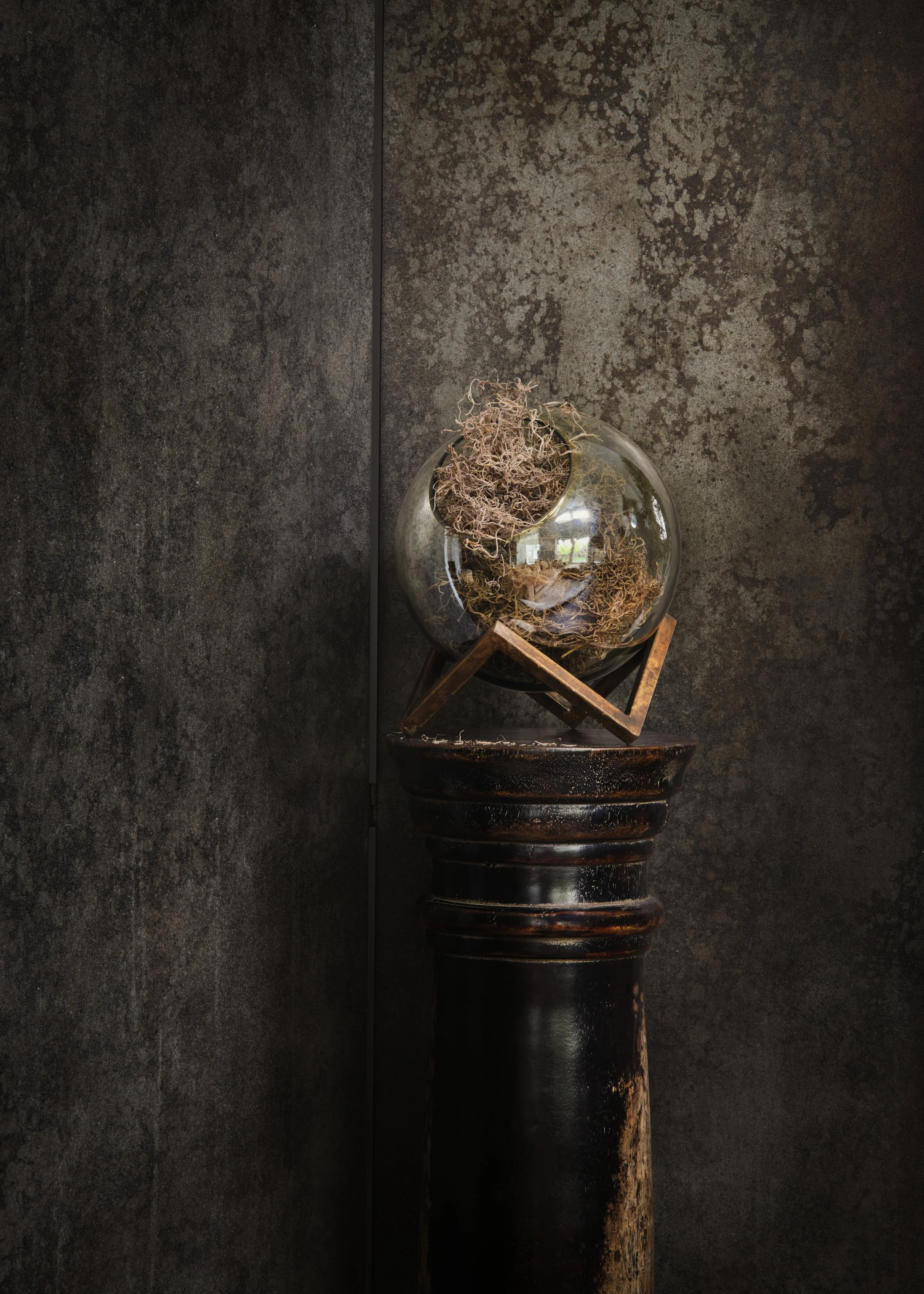 ©NOPLC_BriSL-5k 2.jpg