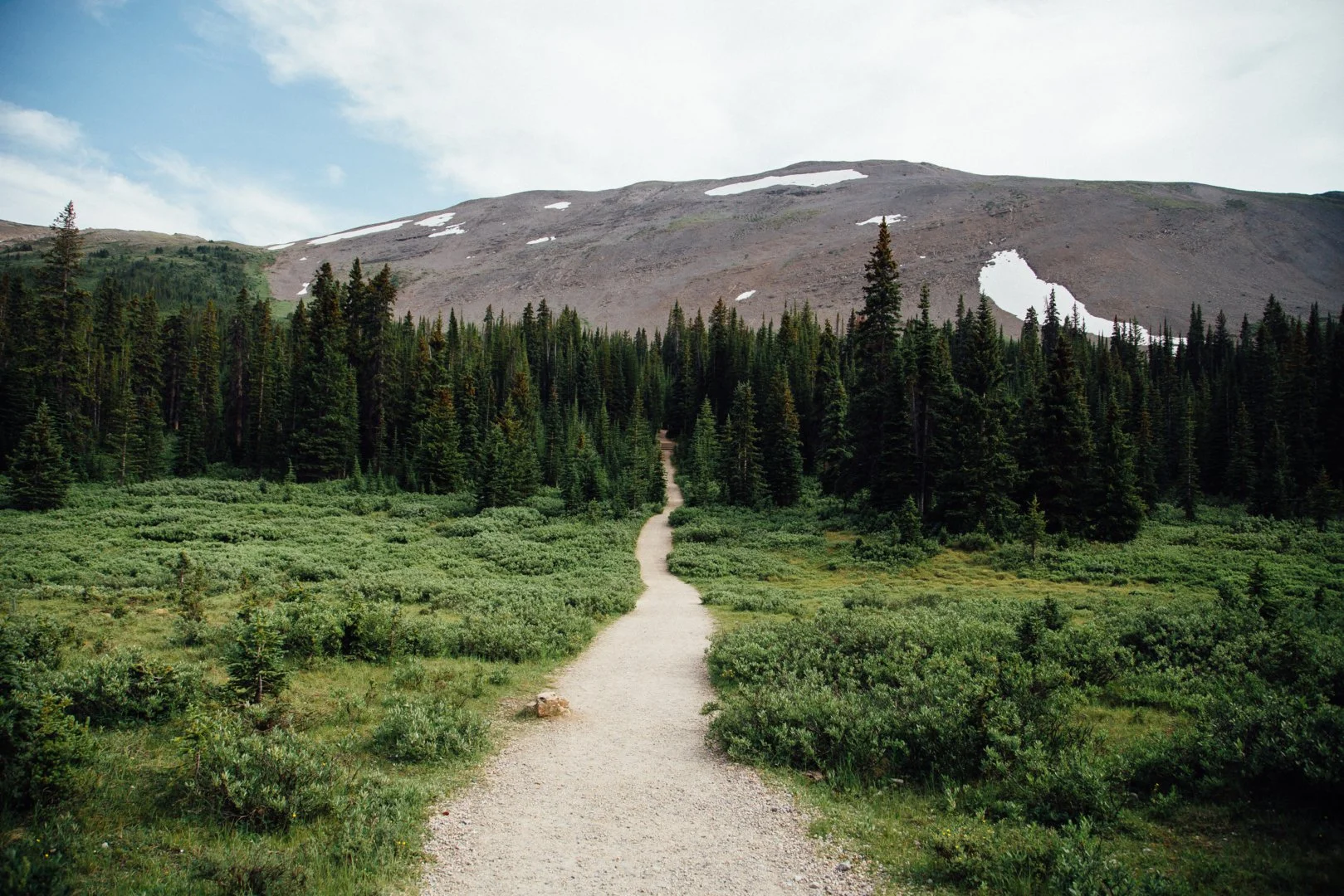Biblical Literacy for Women with Kristin Schmucker