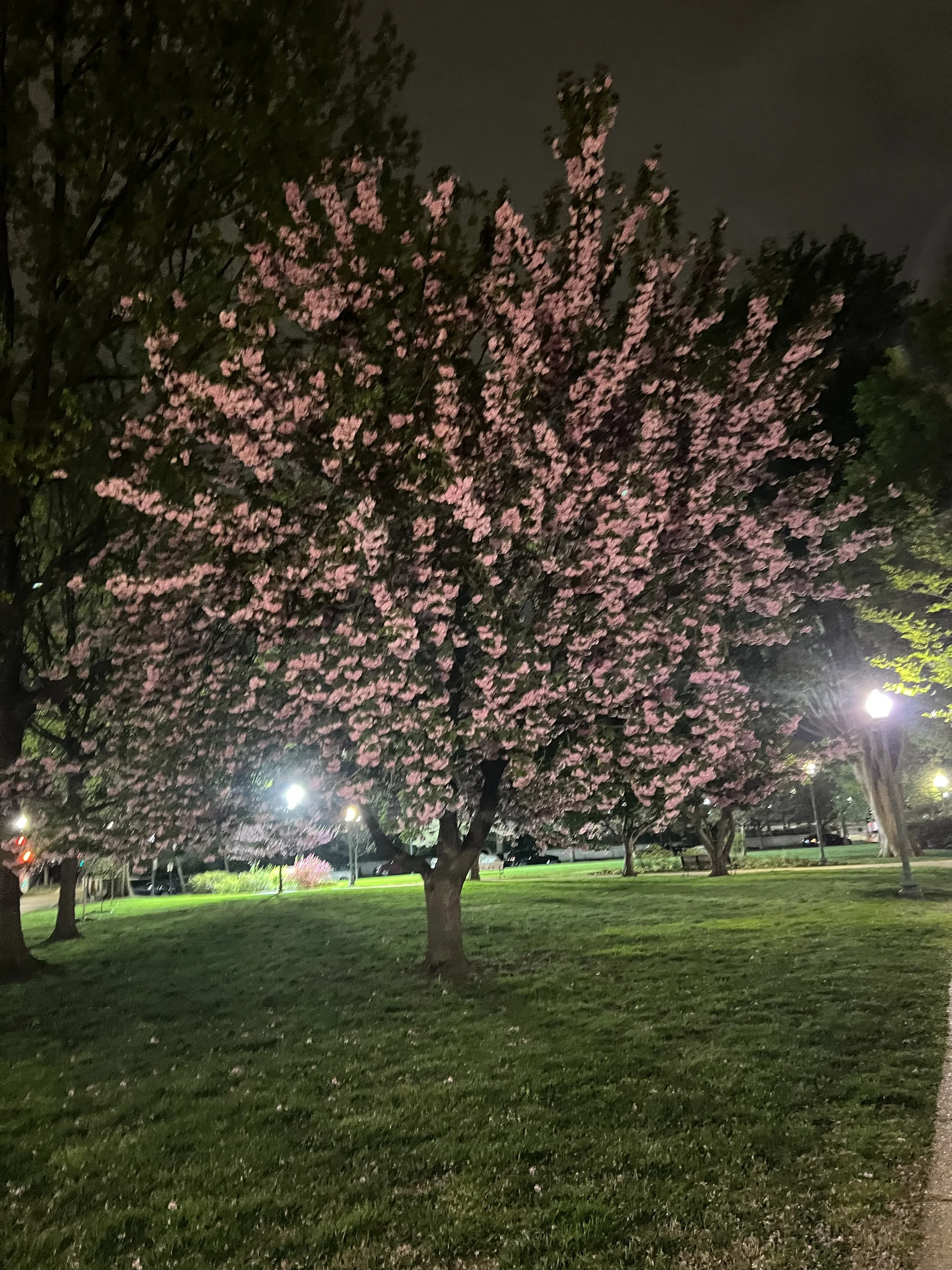 IMG_5092.jpeg