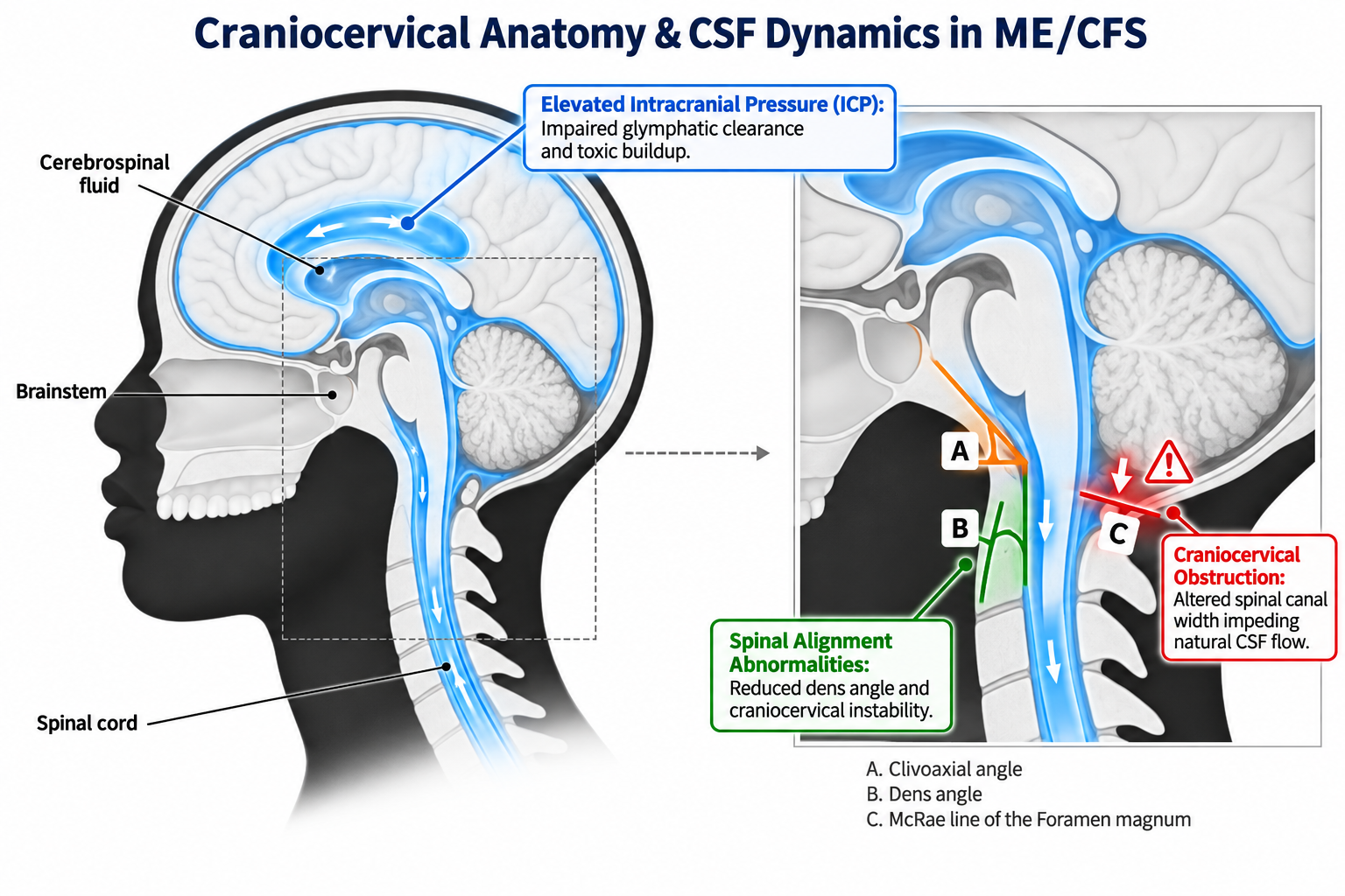 Unmasking POTS, Long-COVID, and Dysautonomia