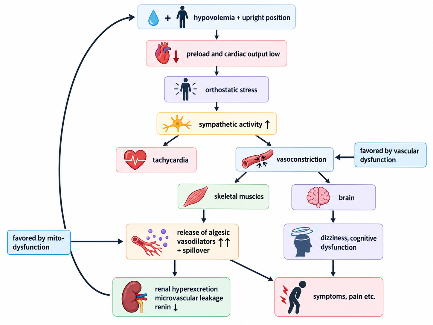 ME/CSF/Long Covid Cause of Symptom Model