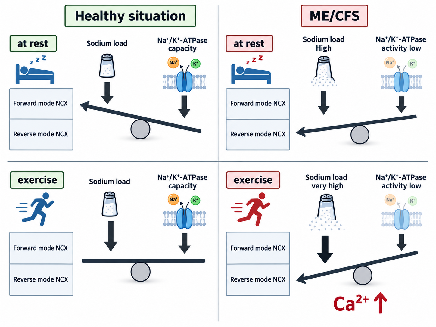 ME/CFS/Long Covid Cellular Dysfunction Model