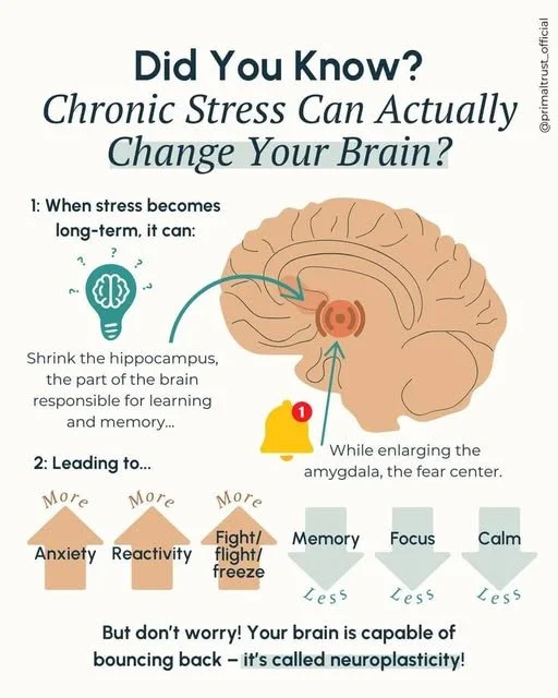 🌿 The Hidden Toll of Chronic Stress 🌿
At Elston Psychotherapy, we often see the quiet impact of chronic stress&mdash;something many people live with every day without realizing just how deeply it's affecting their well-being.
📉 Chronic stress does