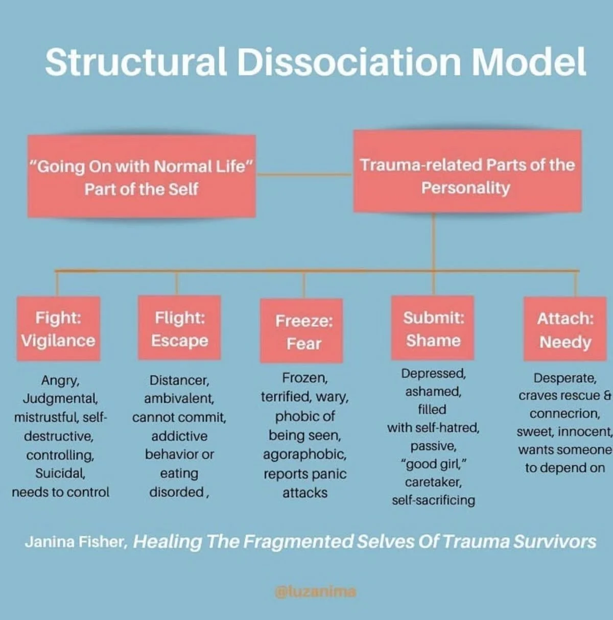 🌿 Understanding the Structural Dissociation Model 🌿
Trauma doesn&rsquo;t just live in our memories &mdash; it shapes how different parts of us learn to survive.

At Elston Psychotherapy, we often help clients explore why they may shift between feel
