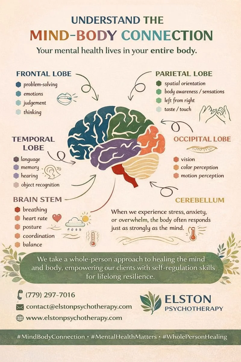 🧠✨ The Mind&ndash;Body Connection ✨🧠

Our mental health doesn&rsquo;t live only in our thoughts &mdash; it lives in our entire body.

Each part of the brain plays a role in how we think, feel, move, remember, and regulate emotions. When we experien