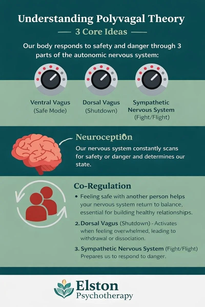 🧠 Understanding Polyvagal Theory: 3 Core Ideas

At Elston Psychotherapy, we believe understanding your nervous system can be key to healing and emotional regulation. Polyvagal Theory explains how our bodies respond to safety and danger through three