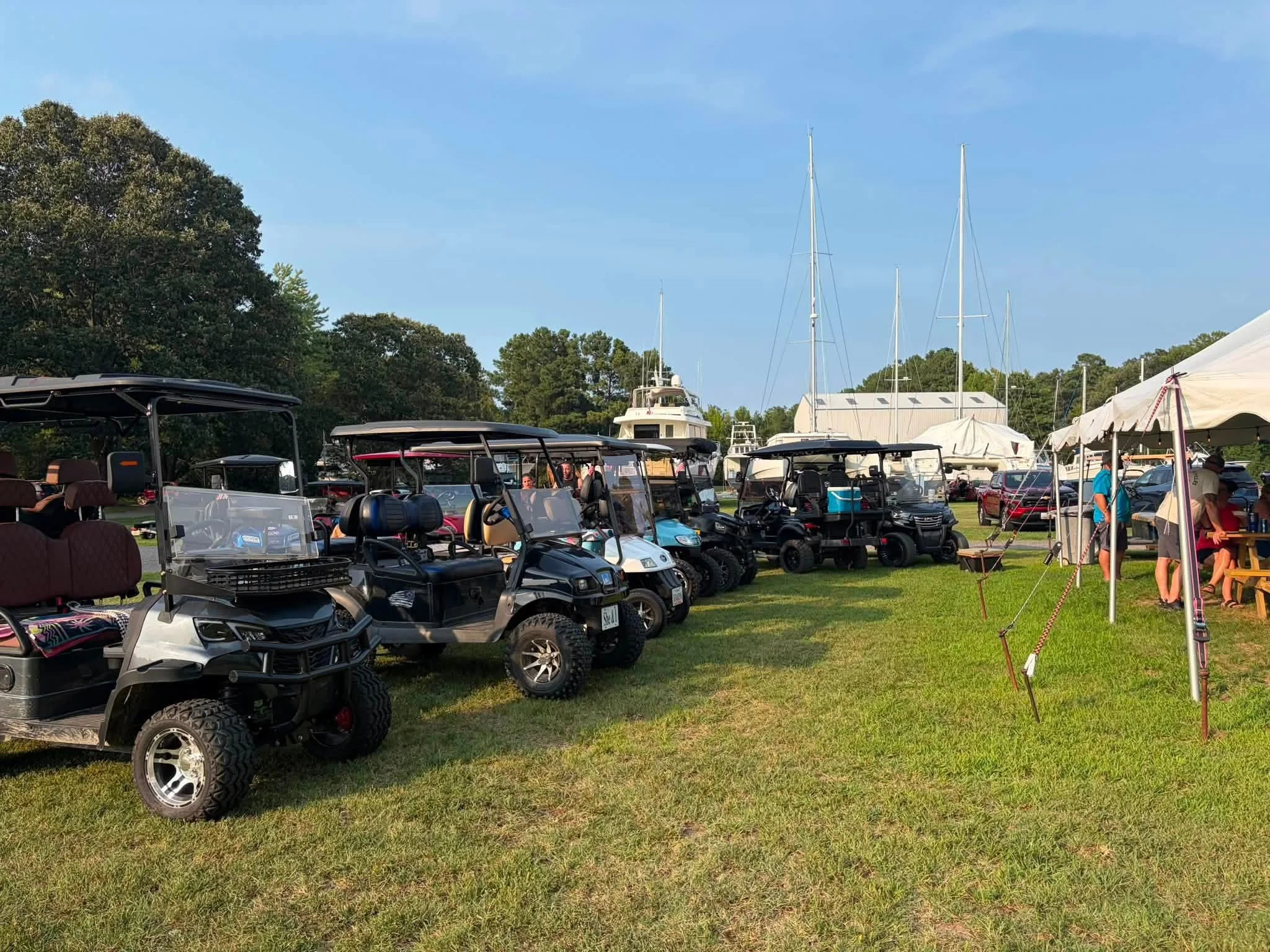 Multiple golf carts parked on the grass near a boat marina, with boats and sailboats in the background under a blue sky.