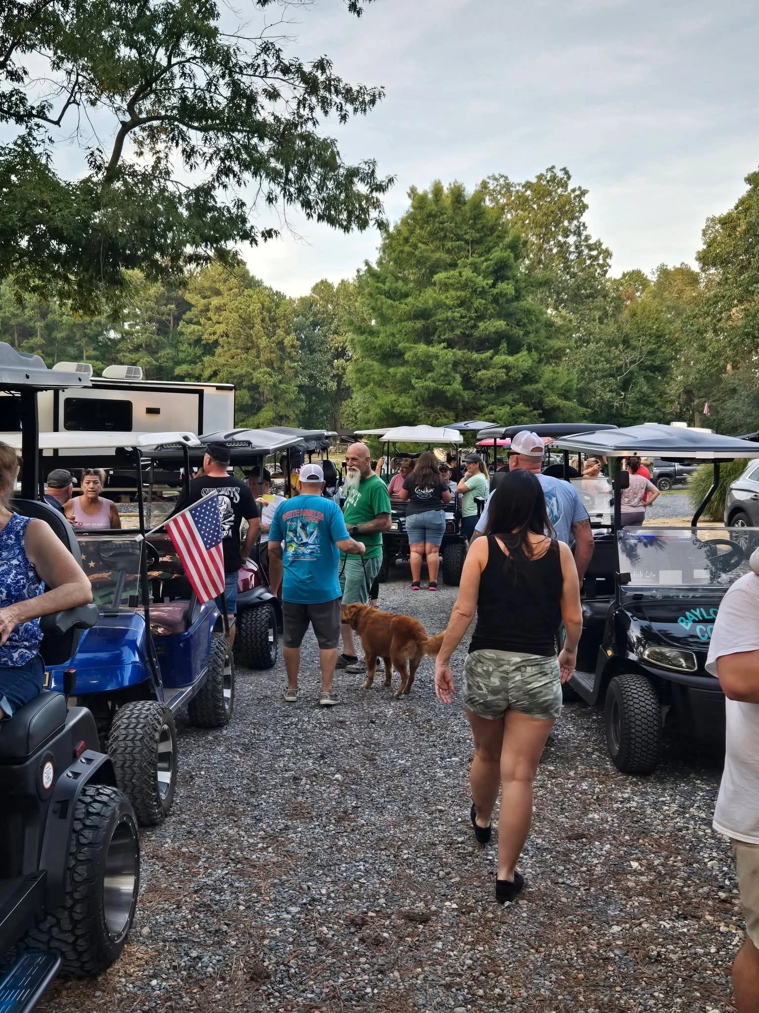 People gathered outdoors among golf carts, trees, and cars on a gravel surface.