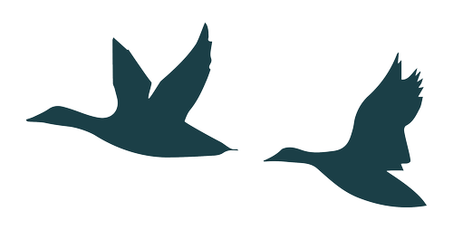 Dennis Point Geese Logo